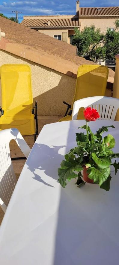 Appartement Agreable Et Spacieux Ensoleille Valros Kültér fotó